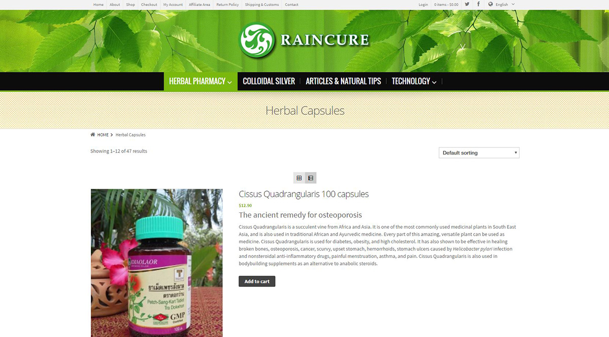 Website modifications - Raincure