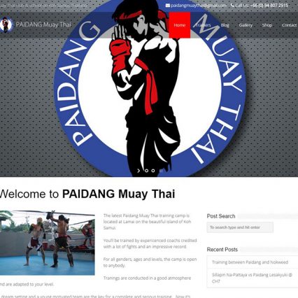 Website - Paidang Muay Thai