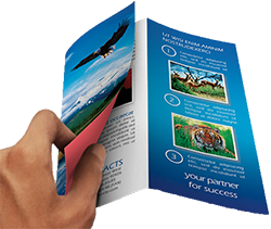 Leaflet design