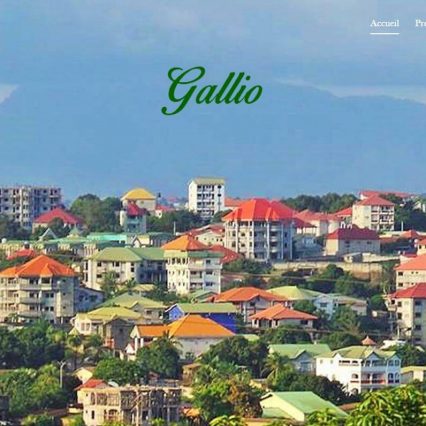 Website - Gallio